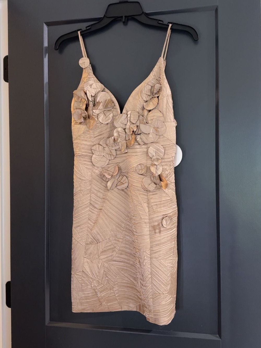 Lizard Thicket Beige Floral Appliqué Spaghetti Strap Dress